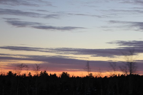 New Camera Dec2010 218